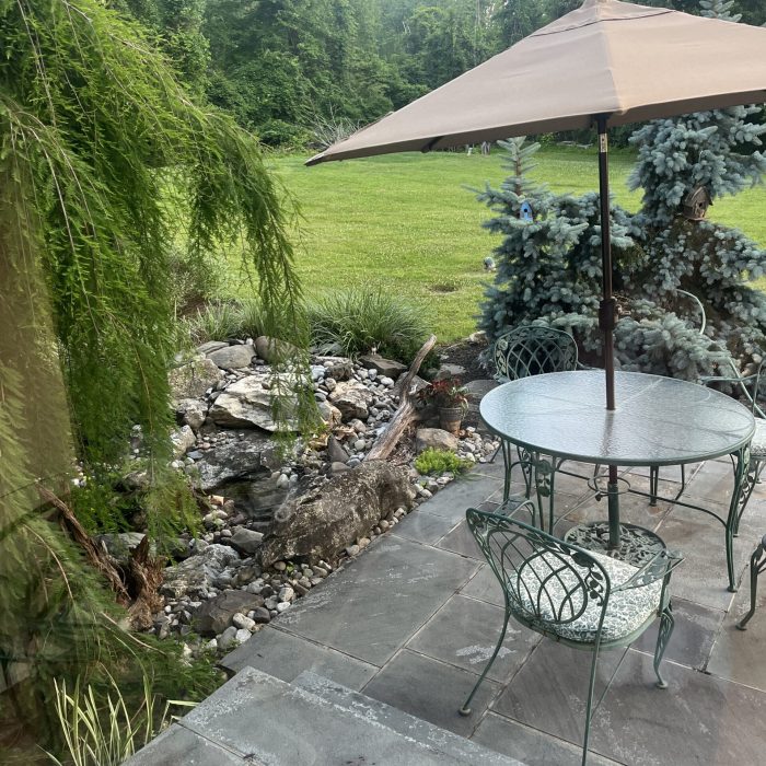 67832705603__E8409A84-2AB7-4981-8F14-75C8AC657A5C